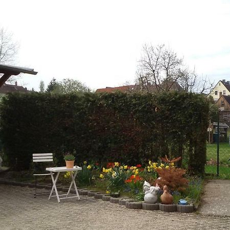 Wendler'S Haus Apartment Meuselwitz Exterior foto